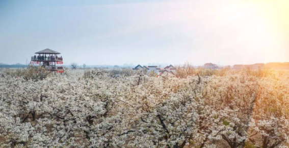 /attachment/editor/20260410/1775799226v0igu.png /attachment/editor/20260410/1775799226v0igu.png